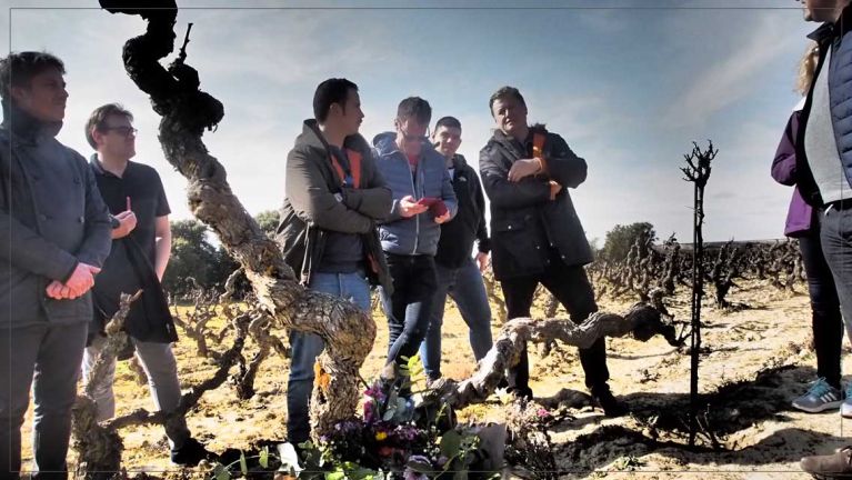 a-pie-de-vina-bodegas-gobel
